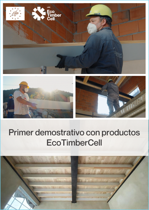 Primer demostrativo con productos EcoTimberCell