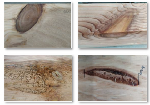 When we talk about wood we also talk about singularity. Knots, cracks, resin pockets, fibre deviation... all intrinsic characteristics of wood, and which make it a material with a high variability