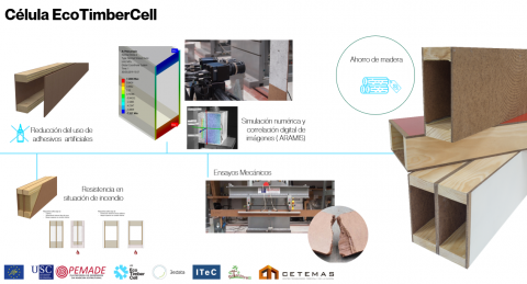 EcoTimberCell: Una aposta per la mitigació del canvi climàtic