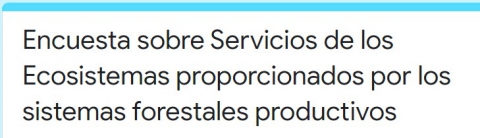 Axúdanos a valorar os múltiples beneficios dos sistemas forestais. Participa na nosa enquisa