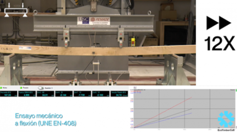 Local wood characterization in LIFE EcoTimberCell project