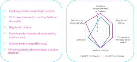 Ecosystem services assessment results provided by productive forest systems