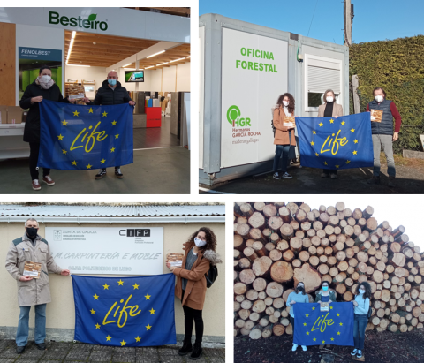 LIFE EcoTimberCell visita serradoiros para difundir a Guía de Subministración e Caracterización da Madeira Estrutural