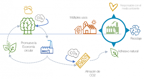 ¿Puede un tablero de fibras libre de compuestos nocivos para el medio ambiente formar parte de un sistema estructural constructivo?